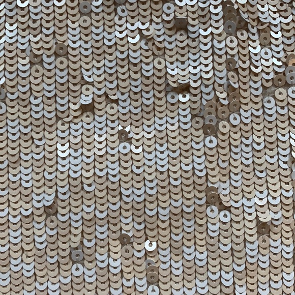 J Crew Sequined Tank - Picture 3 of 4